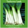 Leek - Tadorna - Organic